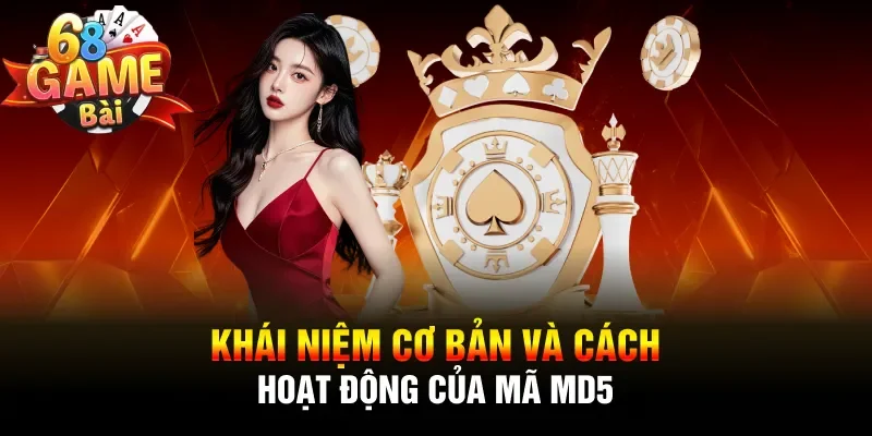 Khái niệm cơ bản và cách hoạt động của mã MD5